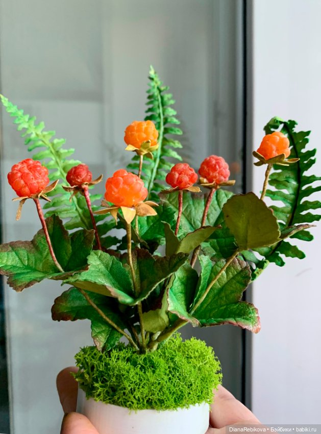 Морошка поспела. Северное солнышко ☀️ (фото 8)