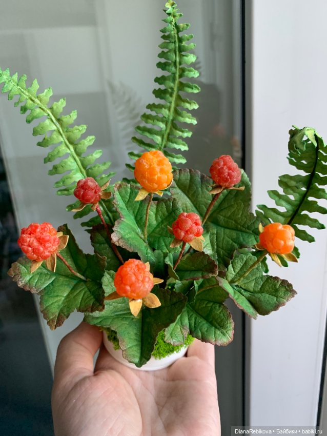 Морошка поспела. Северное солнышко ☀️ (фото 2)