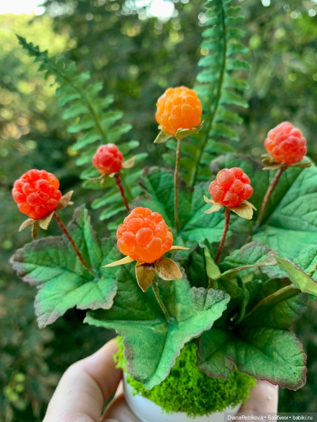 Морошка поспела. Северное солнышко ☀️ (фото 3)