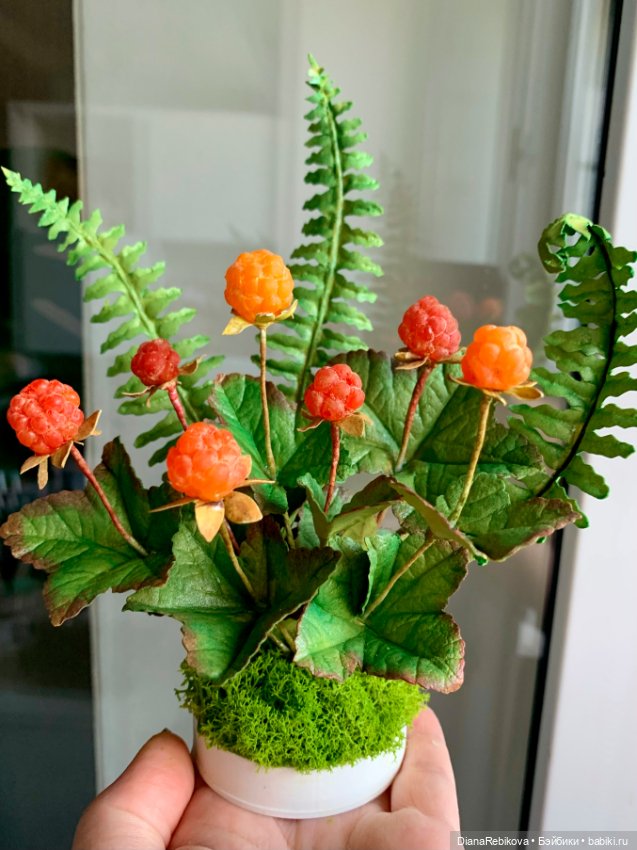 Морошка поспела. Северное солнышко ☀️ (фото 5)