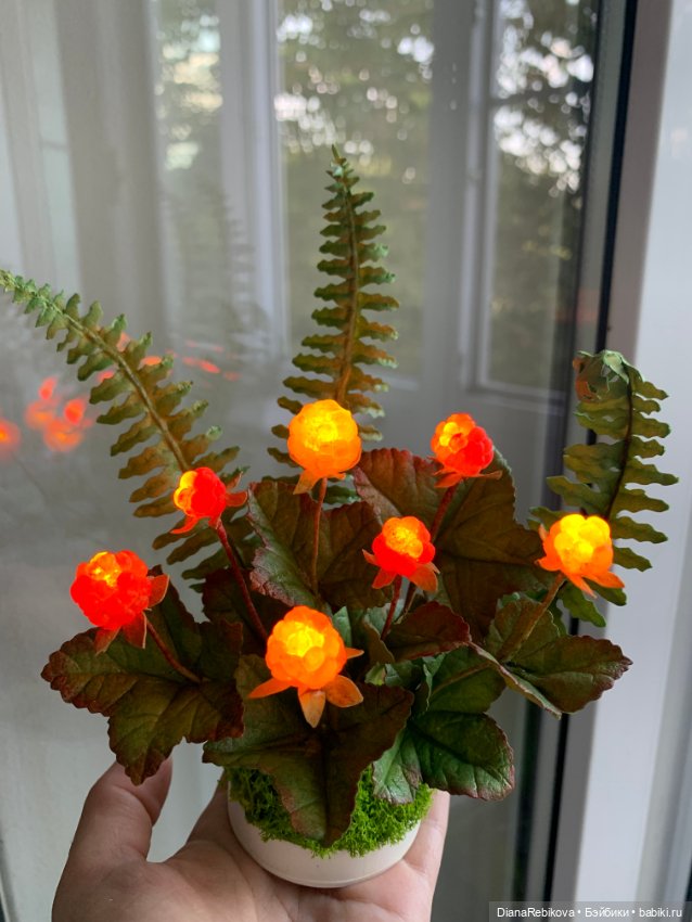 Морошка поспела. Северное солнышко ☀️ (фото 7)