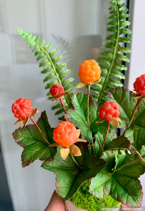 Морошка поспела. Северное солнышко ☀️ (фото 6)