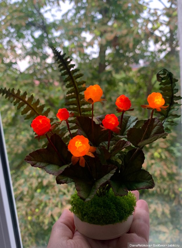 Морошка поспела. Северное солнышко ☀️ (фото 9)