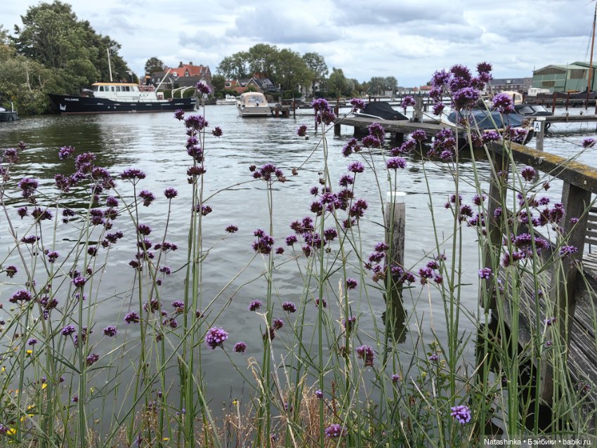 Fashion Dolls 523 — Туризм и путешествия: фотоотчеты из поездок (фото 2)