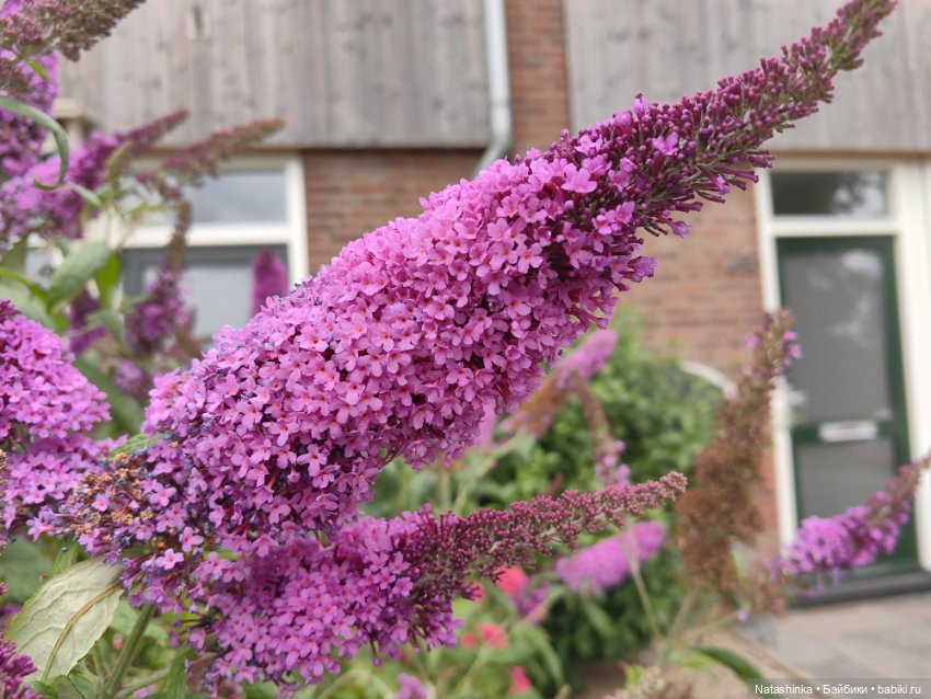 Fashion Dolls 523 — Туризм и путешествия: фотоотчеты из поездок (фото 4)