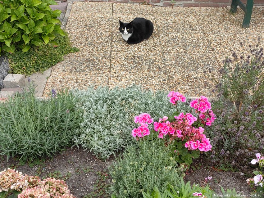 Fashion Dolls 523 — Туризм и путешествия: фотоотчеты из поездок