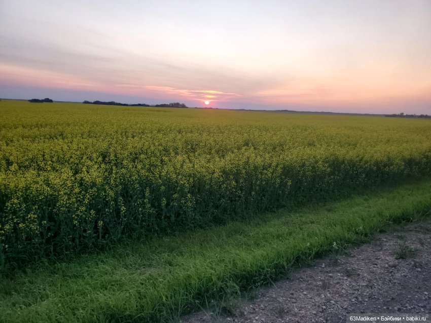 Приятные хлопоты — Плюшевые мишки и игрушки (Teddy Bear): винтаж