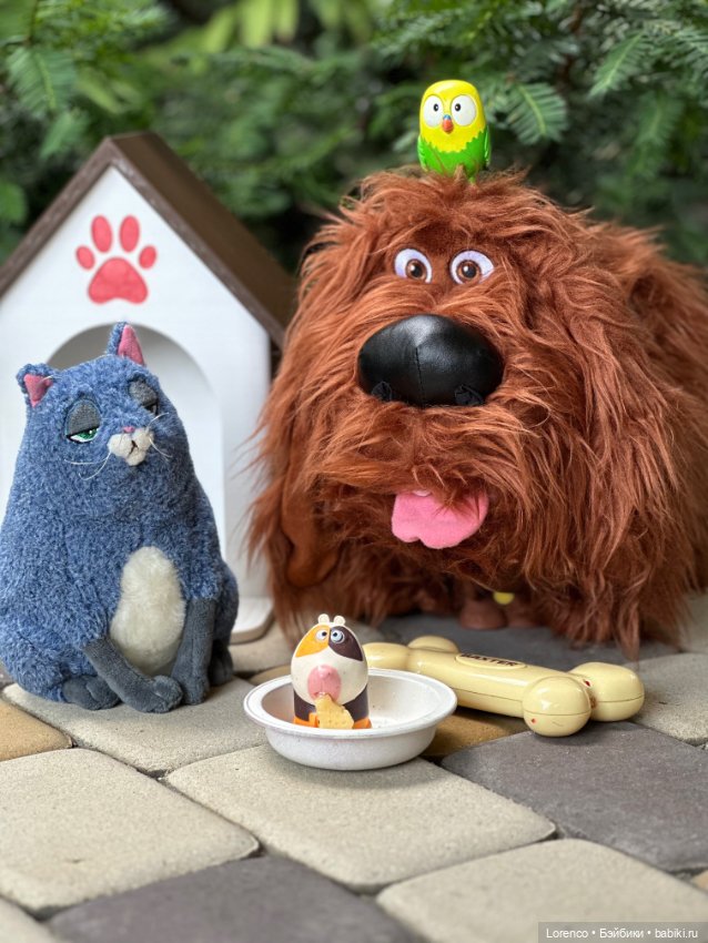 Тайная жизнь моих питомцев