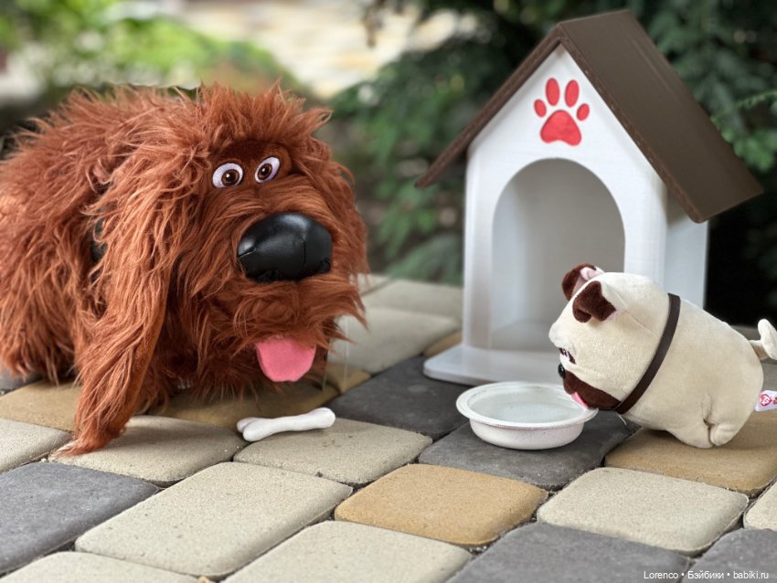 Тайная жизнь моих питомцев (фото 5)