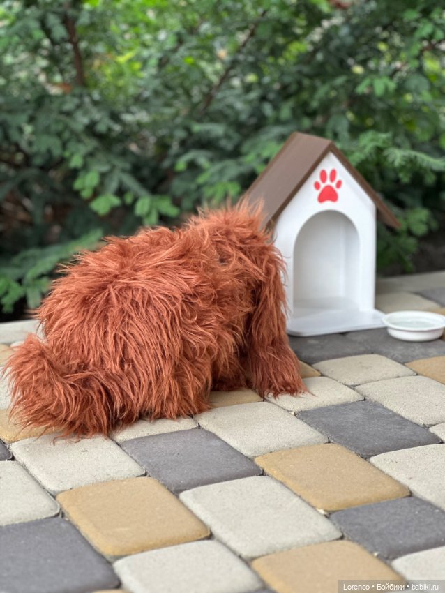 Тайная жизнь моих питомцев (фото 3)