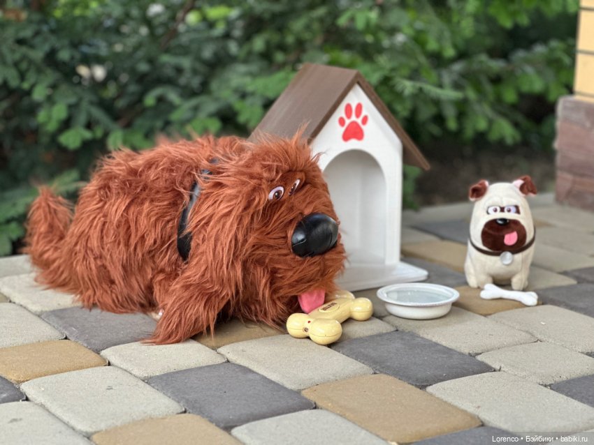 Тайная жизнь моих питомцев