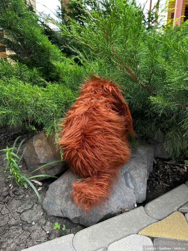 Тайная жизнь моих питомцев (фото 8)