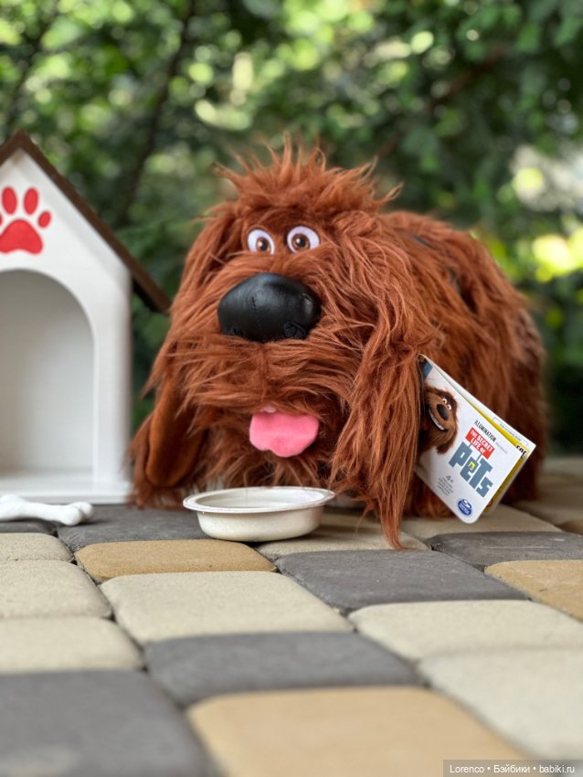 Тайная жизнь моих питомцев (фото 2)