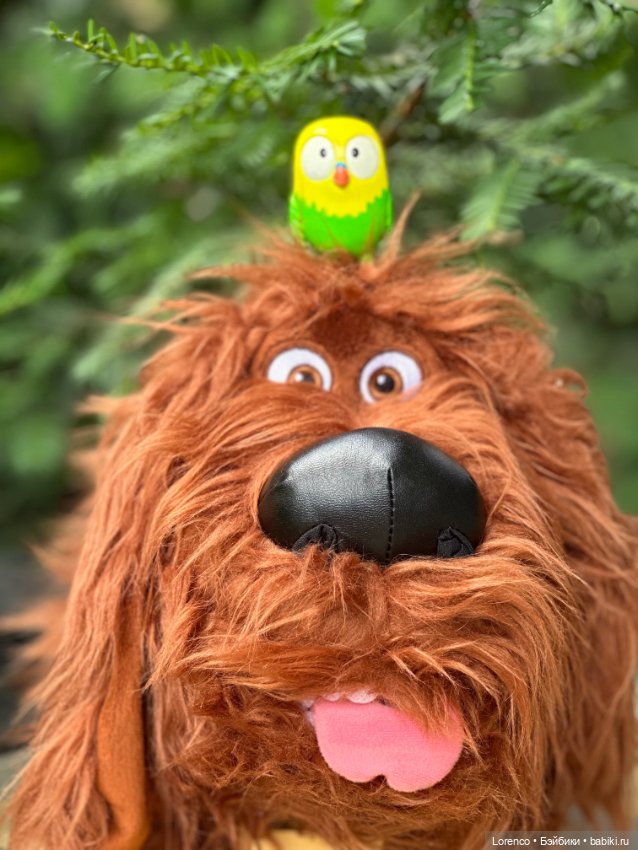 Тайная жизнь моих питомцев