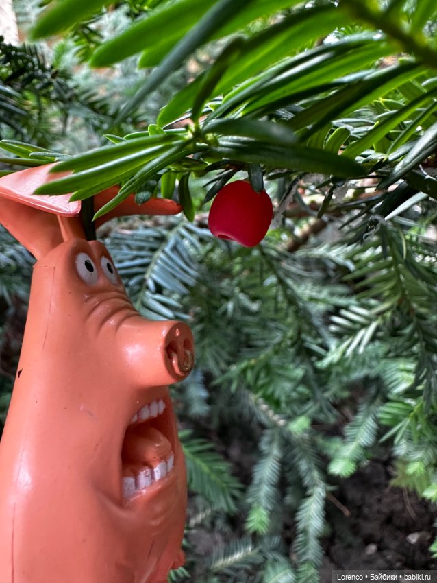 Тайная жизнь моих питомцев