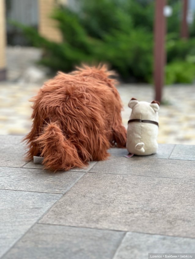 Тайная жизнь моих питомцев