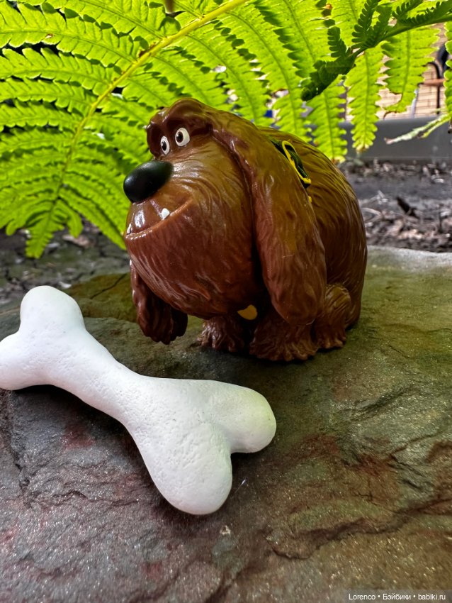 Тайная жизнь моих питомцев