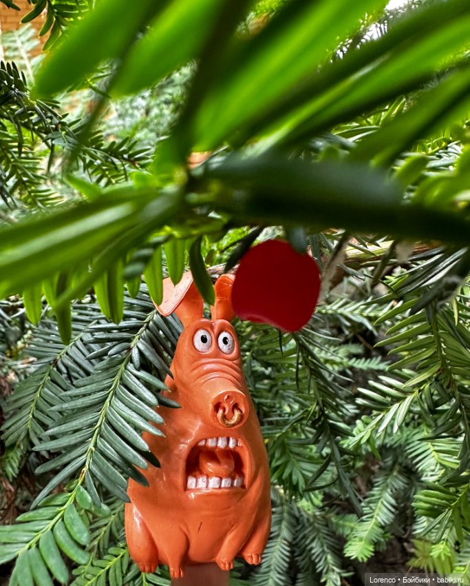 Тайная жизнь моих питомцев