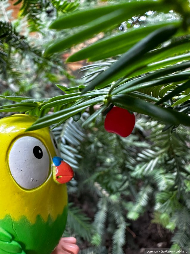 Тайная жизнь моих питомцев