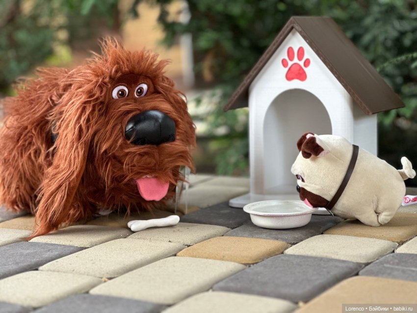 Тайная жизнь моих питомцев (фото 4)