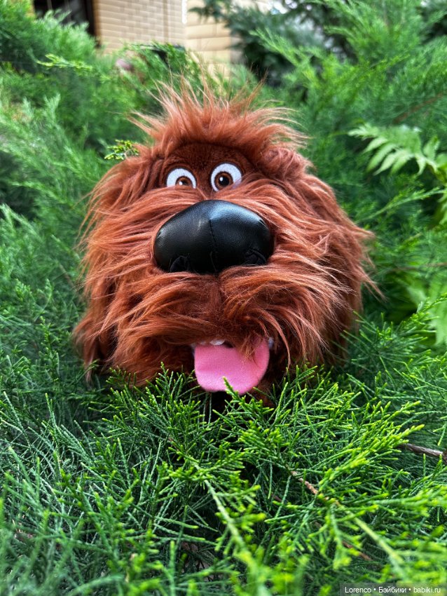 Тайная жизнь моих питомцев