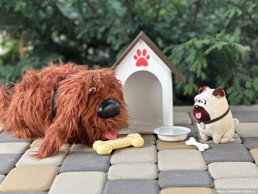 Тайная жизнь моих питомцев