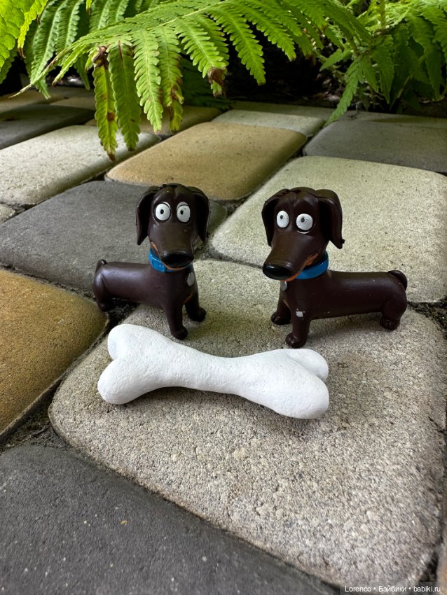 Тайная жизнь моих питомцев