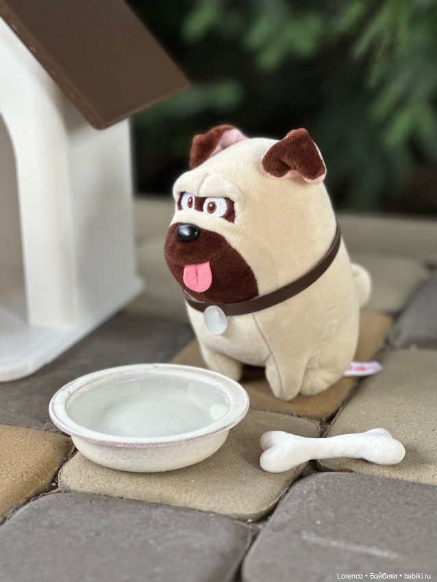 Тайная жизнь моих питомцев