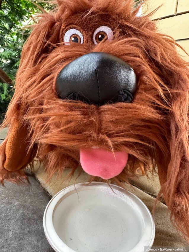 Тайная жизнь моих питомцев