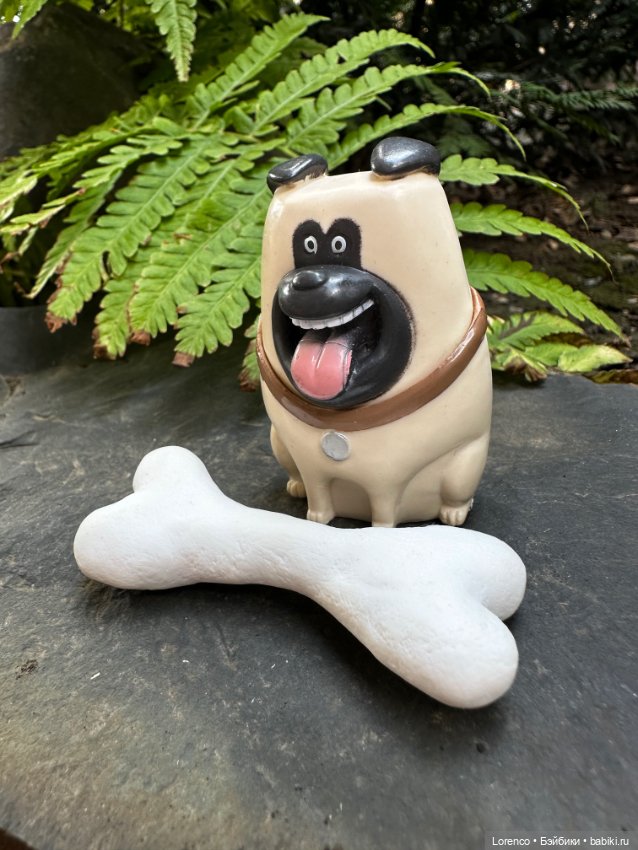 Тайная жизнь моих питомцев