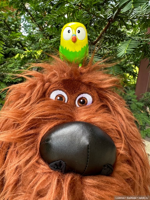 Тайная жизнь моих питомцев