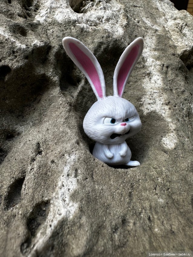 Тайная жизнь моих питомцев