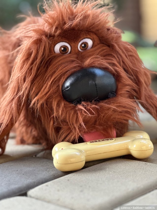 Тайная жизнь моих питомцев