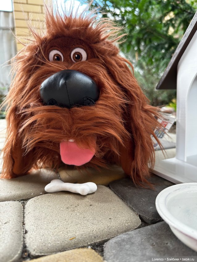 Тайная жизнь моих питомцев (фото 7)