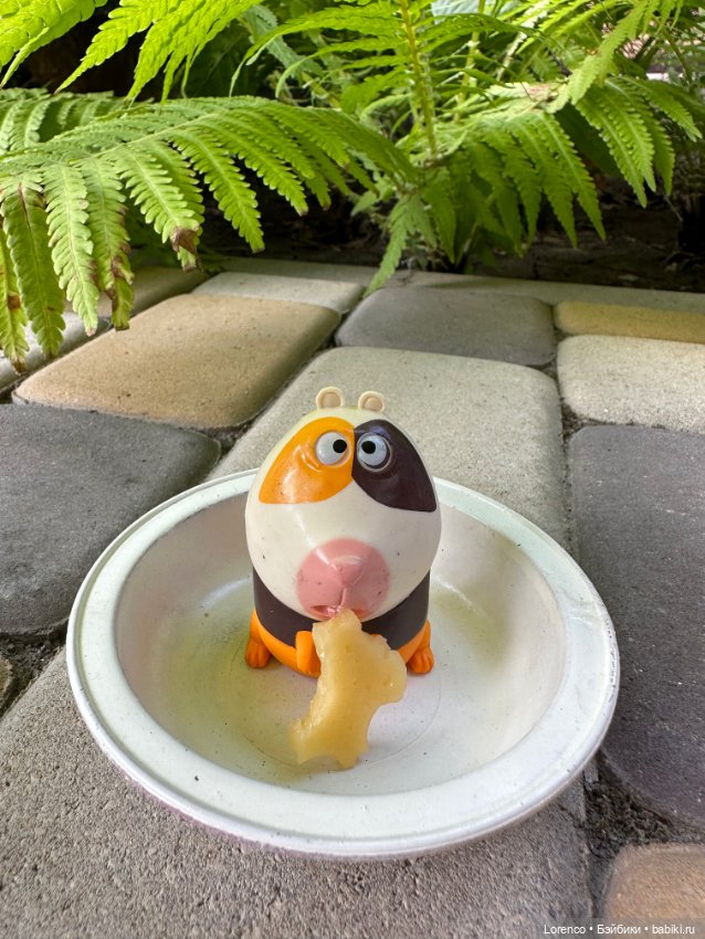 Тайная жизнь моих питомцев