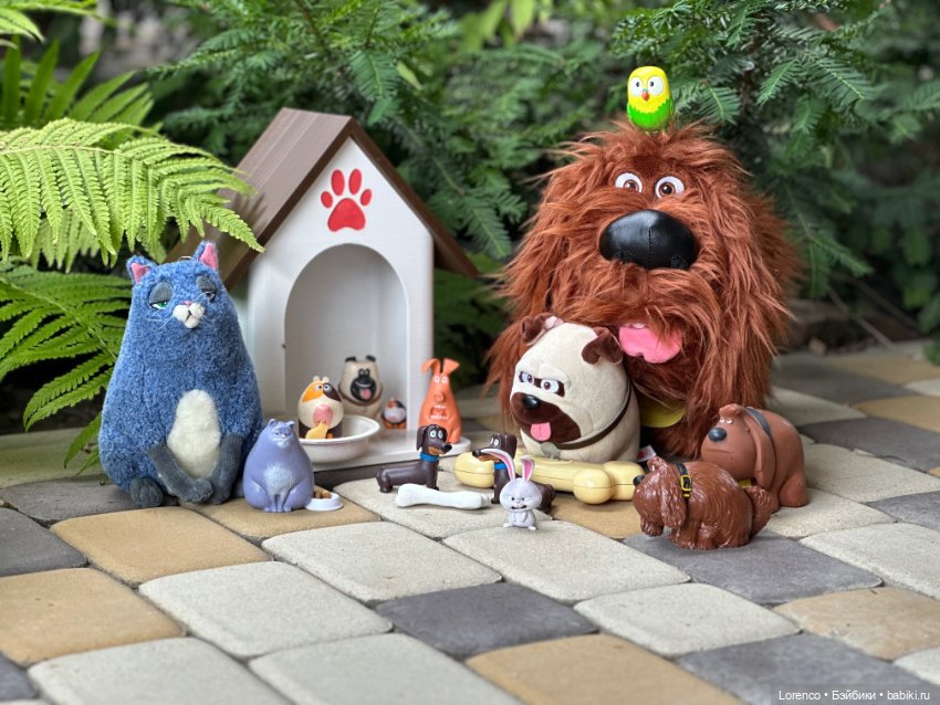 Тайная жизнь моих питомцев