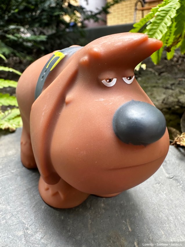 Тайная жизнь моих питомцев