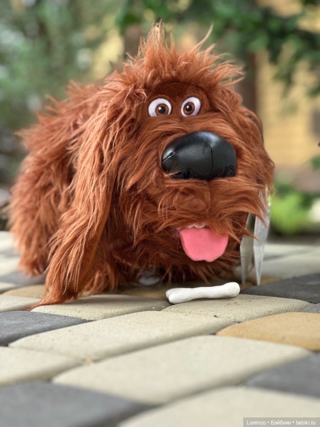 Тайная жизнь моих питомцев (фото 6)