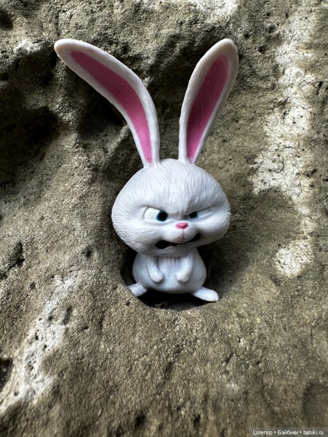 Тайная жизнь моих питомцев