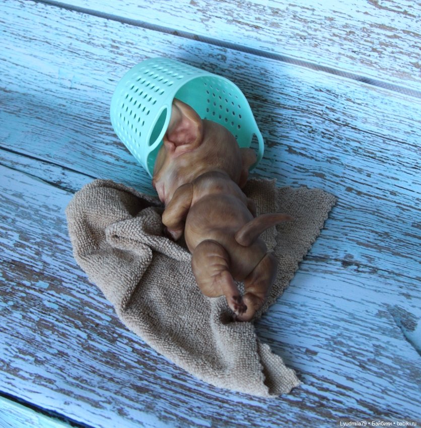 Щенок без аллергии — Куклы Реборн (Reborn): работы мастеров (фото 5)