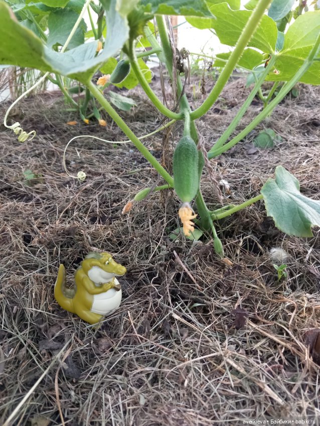 Жюльен и Фиалка — Интересные игрушки и фигурки (разное): редкие