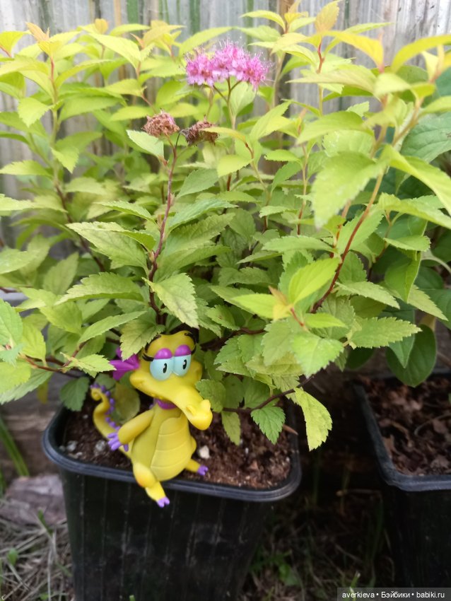 Жюльен и Фиалка — Интересные игрушки и фигурки (разное): редкие (фото 3)