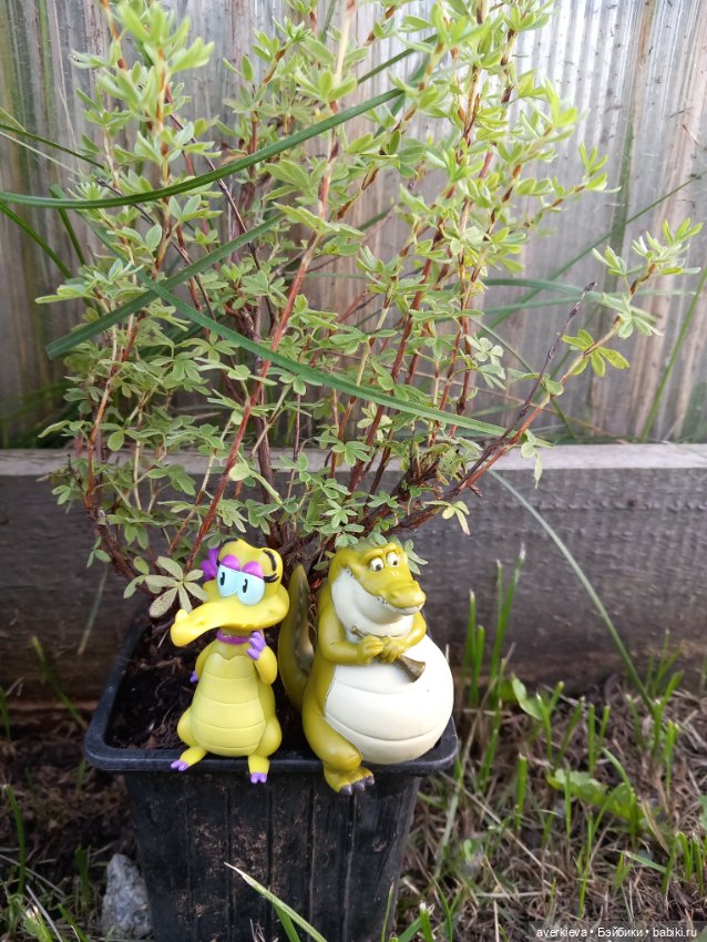 Жюльен и Фиалка — Интересные игрушки и фигурки (разное): редкие (фото 4)