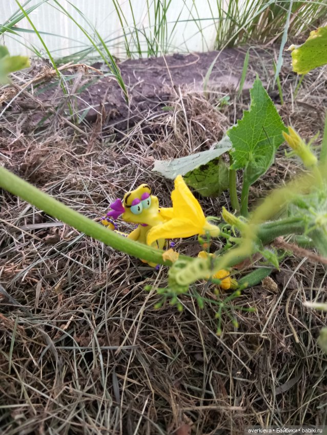 Жюльен и Фиалка — Интересные игрушки и фигурки (разное): редкие (фото 2)