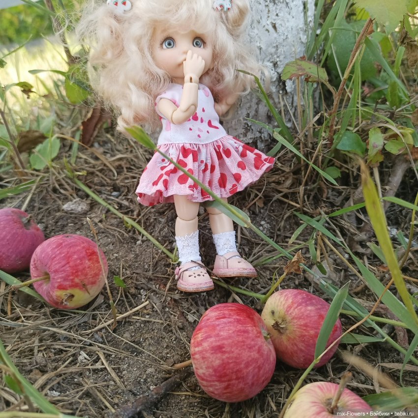 Летний сад, цветы и Джесси