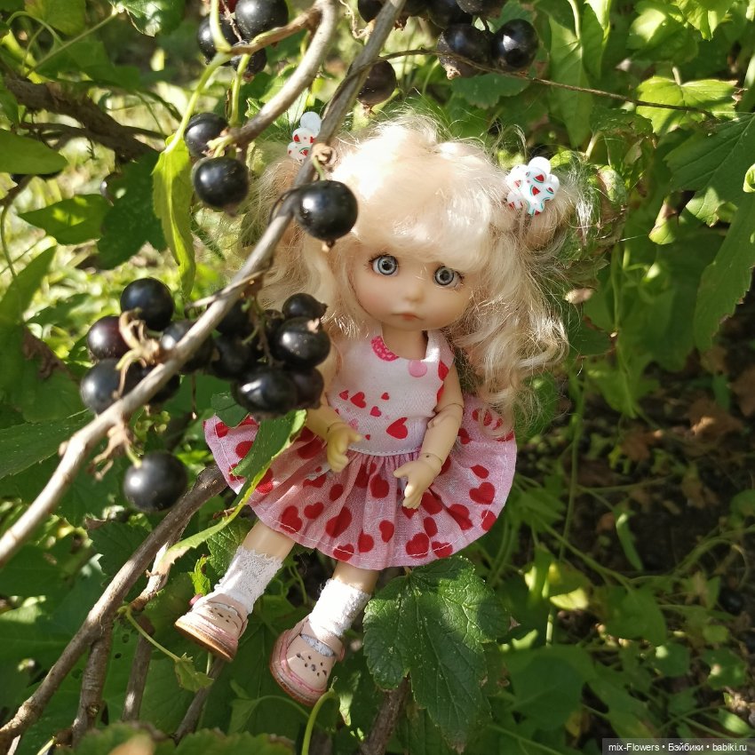 Летний сад, цветы и Джесси