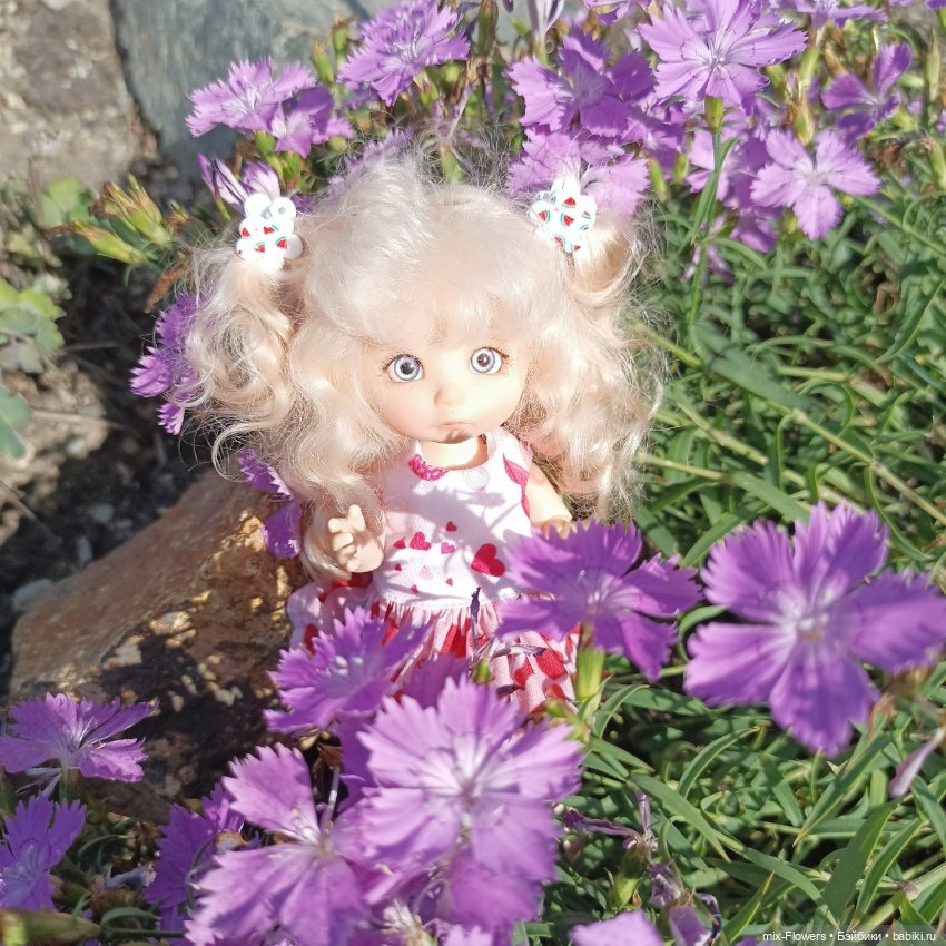 Летний сад, цветы и Джесси