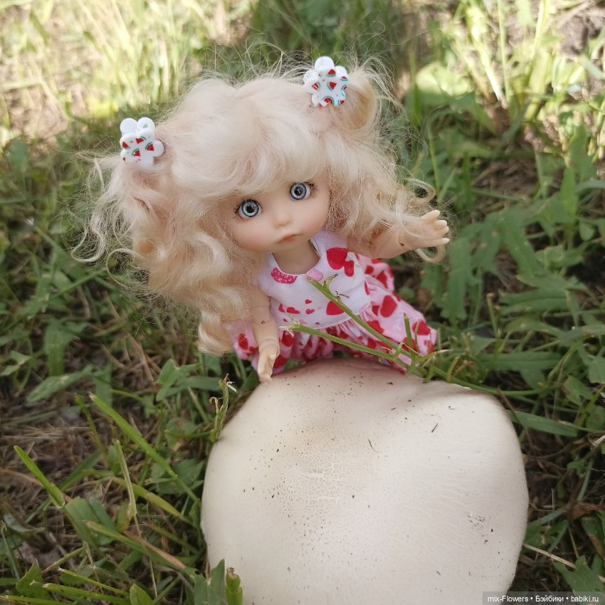 Летний сад, цветы и Джесси