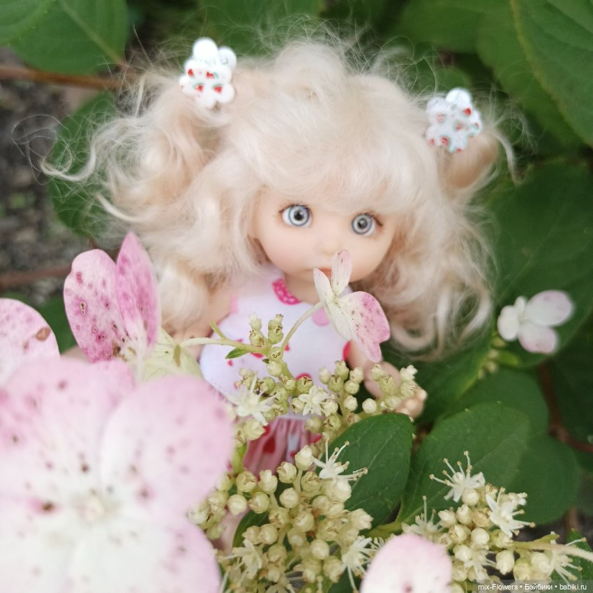 Летний сад, цветы и Джесси