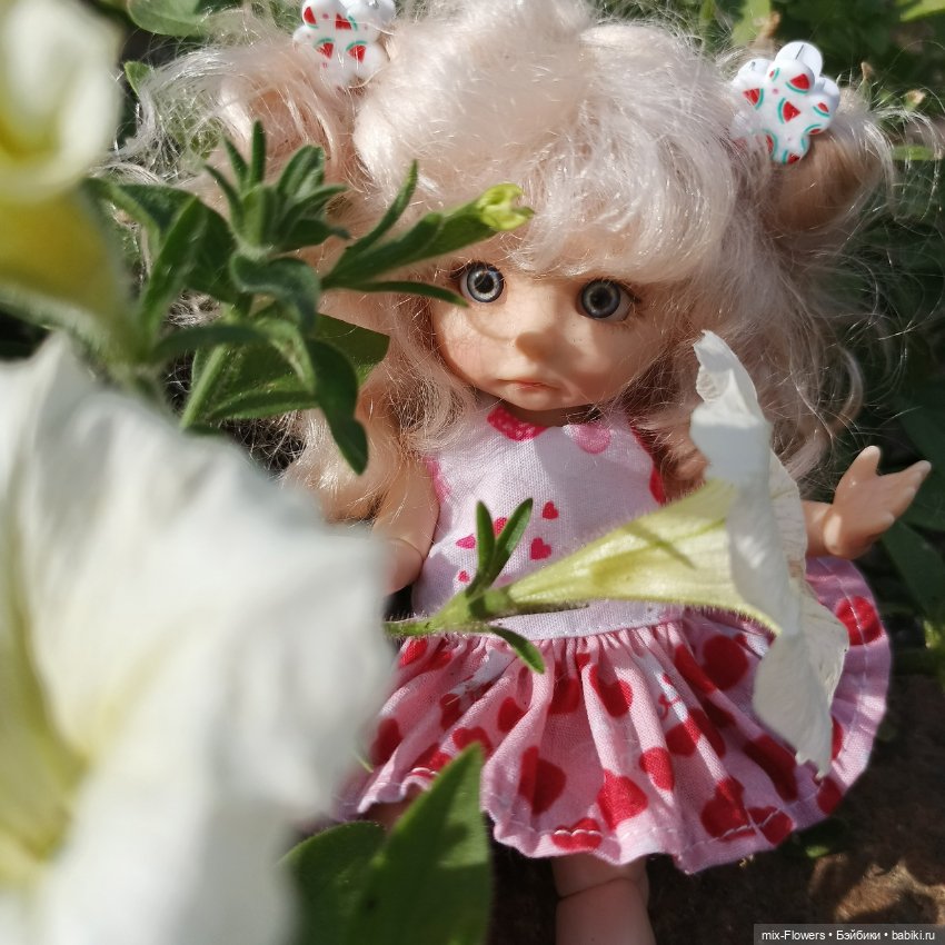 Летний сад, цветы и Джесси